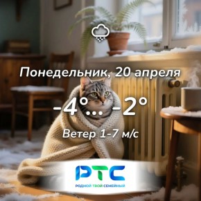 ������ ����, �������!