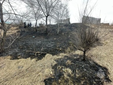 77-������ ������� ������� ��� ������ � �����������