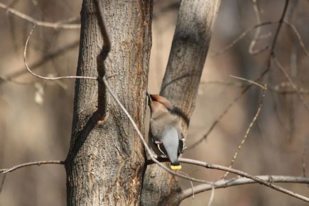 ���������� � � ������� ���������: �������������� ������ � ����������� �������� ������� � ���� � �����-��������� �����������