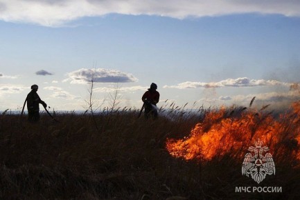 ����� �������� � ������� ������� ����, �������� � 50 ����� ���� ������������