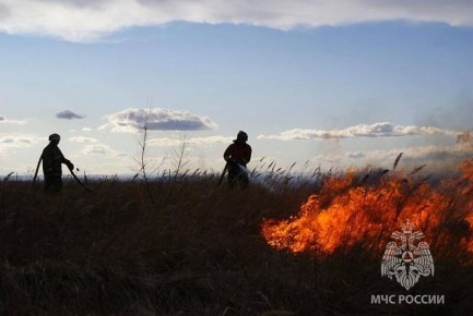 ������� ������ ���������� ������� �������