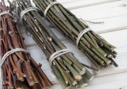 ������� �������� ������ � �������� ��������: ���������� ��������� ��������