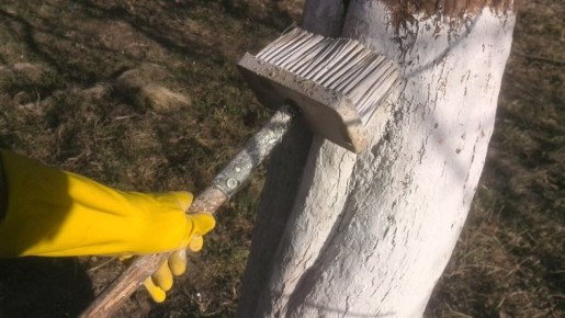 �������� ������: ��� ��������� �������� ������ ��� ������ �� �������