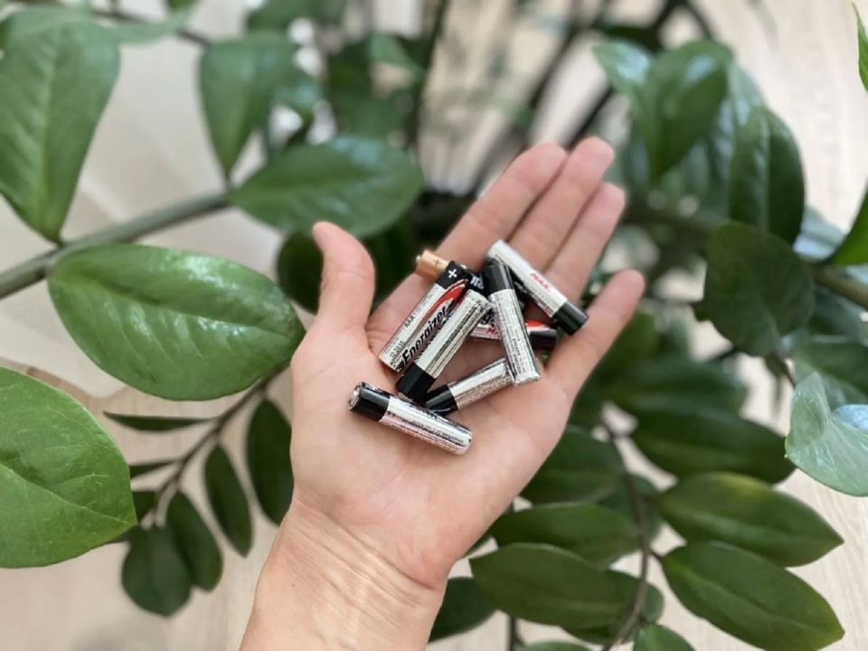 ������������� ����� �� ����� �������� �������� � �������