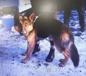 � ����������� ������� ���������� �������� �������� � ���������� ������� ����� �������� ���������� ������� � ���������� ��������� �� ������