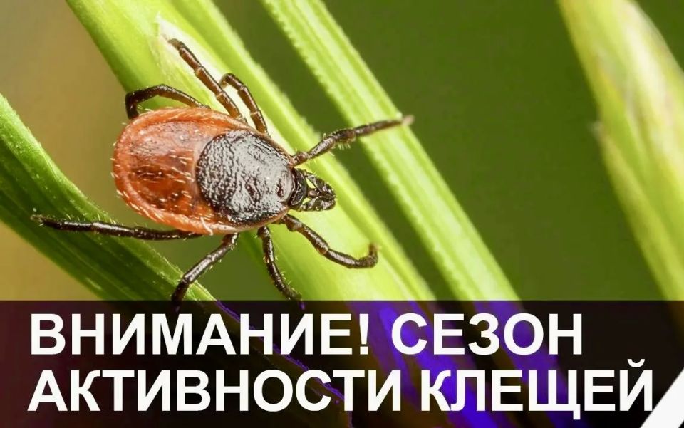 ������� ����������� ��������� ��������� ���� ���������������� � ����� � ����������� ������