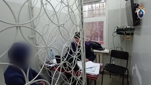 � ������������� �������� ��������� ���������������� �����������, ���������� � �������������� �������������� �����������