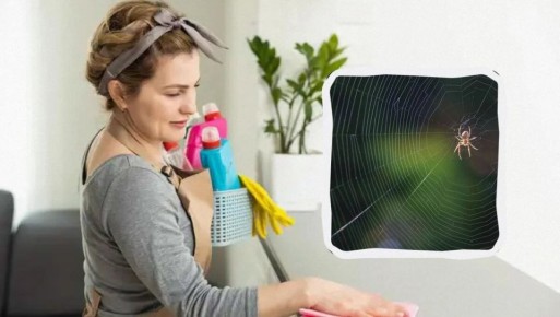 ��� ���������� �� ������ � ����: ������� � ����������� ������