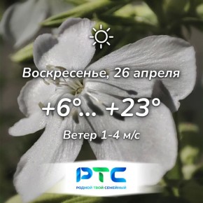 ������ ����, �������!