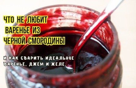 ������ � ������������� ������� �� ������ ���������: ������ �� �������� ���������� �������