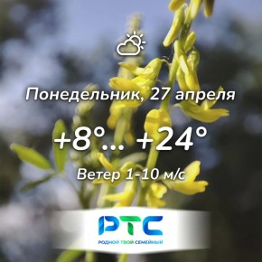 ������ ����, �������!