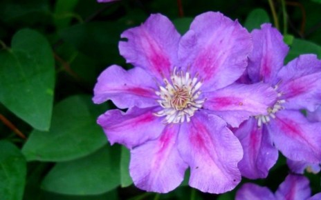 ��� �������� ��������� � ����: 5 �������� �������