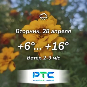 ������ ����, �������!