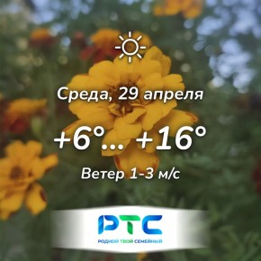 ������ ����, �������!