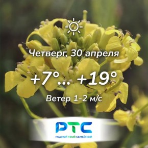 ������ ����, �������!