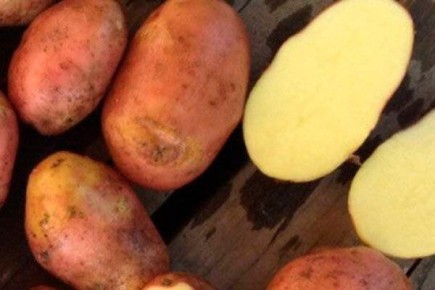 ��������� ���������: ��������� ����� ��� ���������� ������ 2025 ����