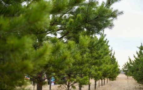 ��������� �������� ������� � ������� � � ����������