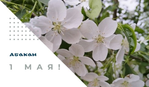 ��������� �������� � ����� ������ ������! ����������� ��� � 1 ��� � ���������� ����� � �����!