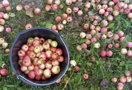 ������� �����: ��� ���������� �������� � �������� ������