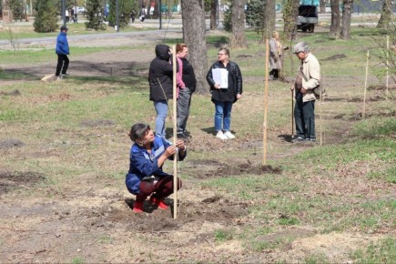 � ����� ������ �������� ���������� ����������