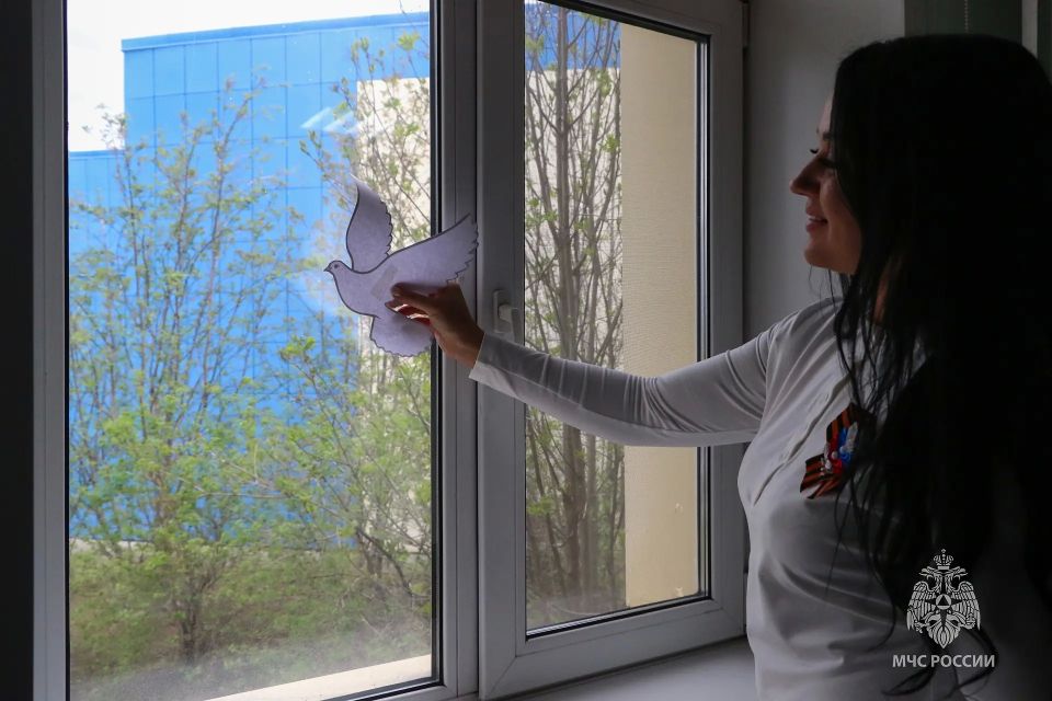 Накануне Дня Победы участники Молодежного совета Главного управления поддержали всероссийский проект «Окна Победы»