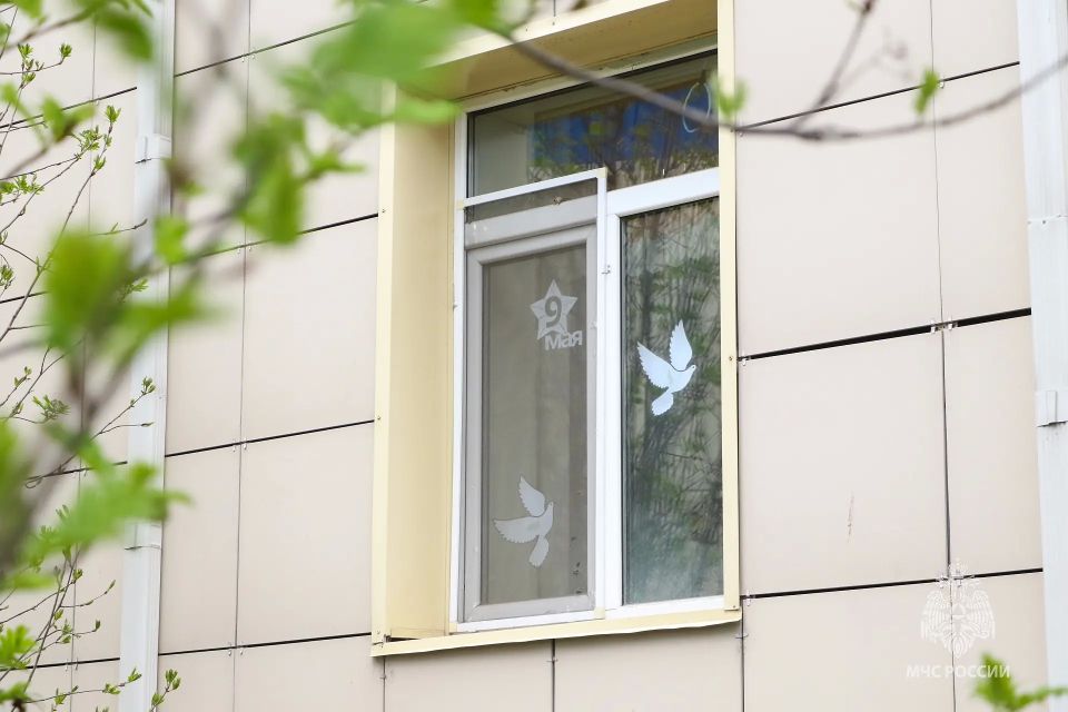 Накануне Дня Победы участники Молодежного совета Главного управления поддержали всероссийский проект «Окна Победы» Накануне Дня Победы участники Молодежного совета Главного управления поддержали всероссийский проект «Окна Победы»