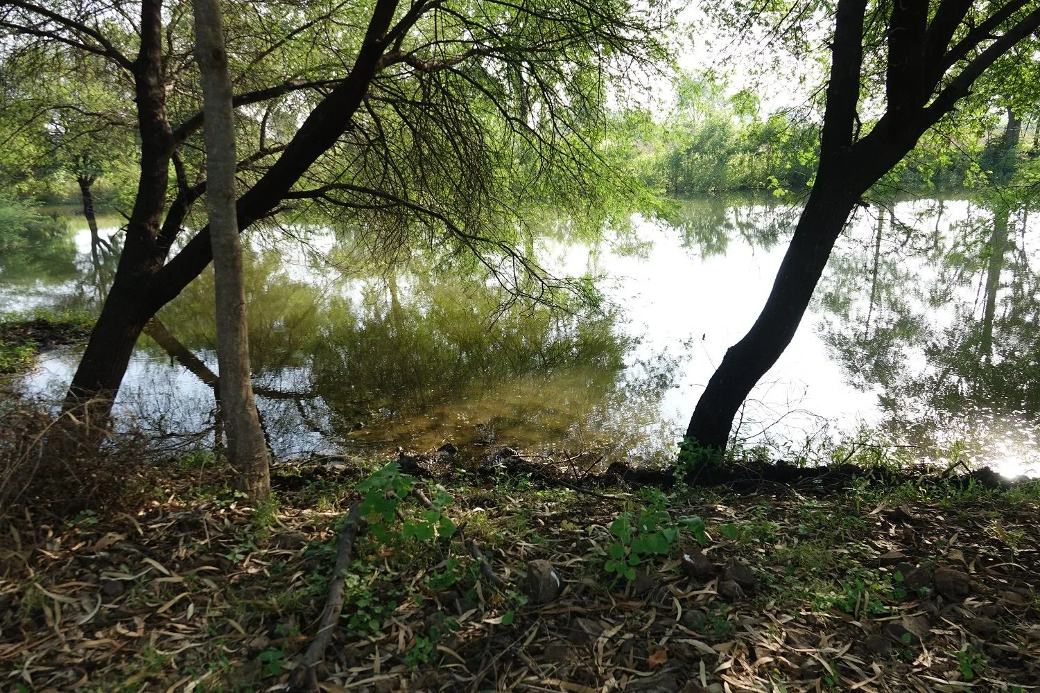 На трёх реках Хакасии ожидаются колебания уровней воды