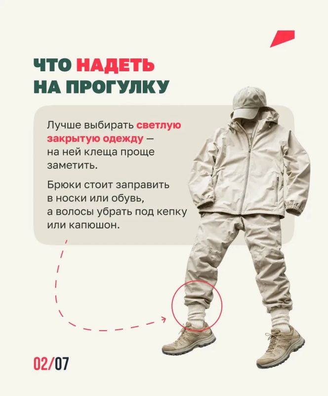Клещей можно встретить не только в лесу Клещей можно встретить не только в лесу