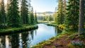 Лес глазами лесника: необычный конкурс в Хакасии