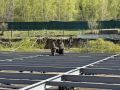 Завершен монтаж инженерных сетей для нового стационара в Бограде