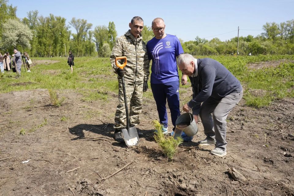 Сотню сосен высадили предприниматели в столице Хакасии Сотню сосен высадили предприниматели в столице Хакасии