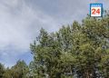 Хмурое, но все же доброе утро, друзья