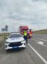 Почти 2 тонны сомнительной говядины везли из Абакана в магазины Красноярска, груз «тормознули» сотрудники Россельхознадзора во время совместного рейда с ГАИ