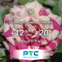 Прогноз погоды