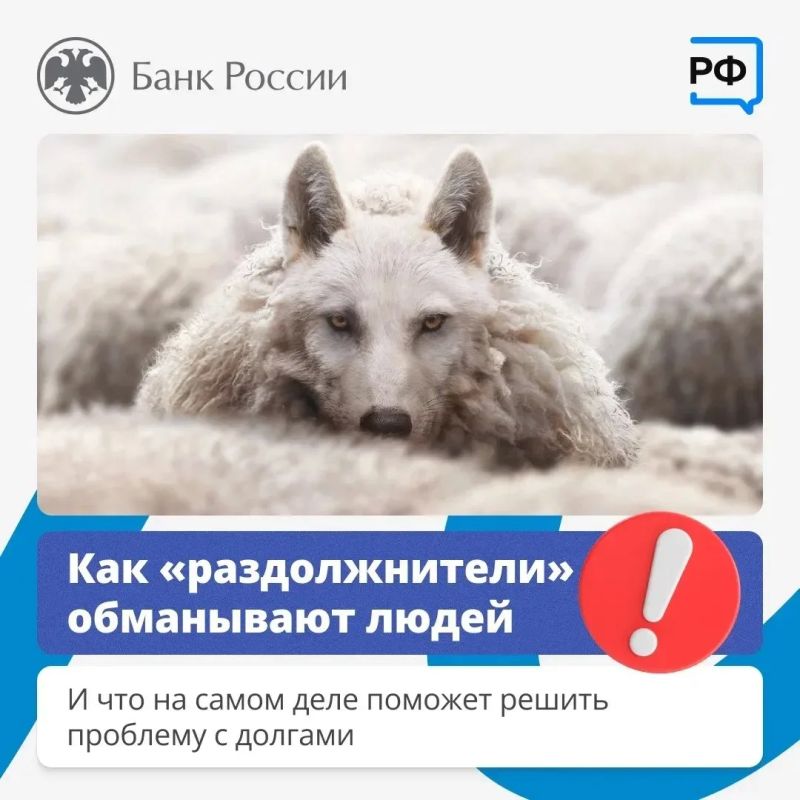 «Раздолжнители»: красивые обещания VS реальность