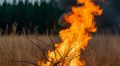 900 тыс. руб. за лесной пожар выплатил саяногорец