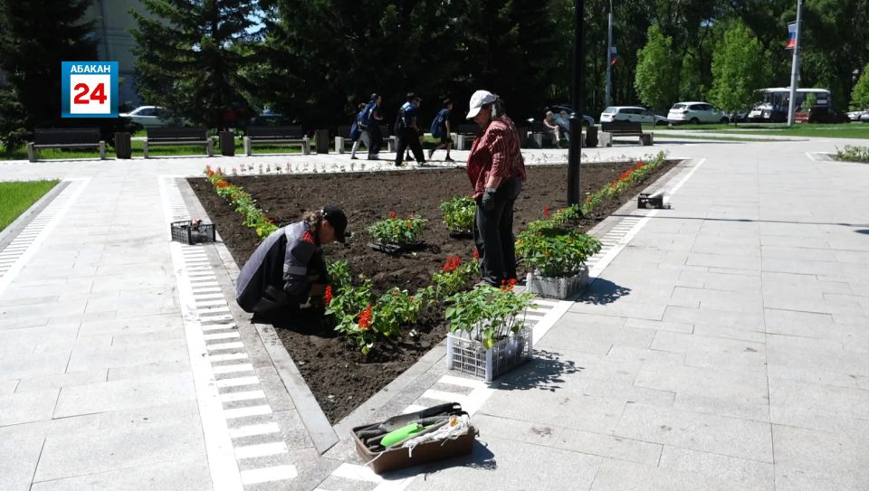 Высадка цветов началась в Абакане