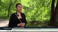 ������� ��������� � �������� ������������� ���������