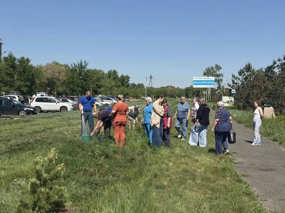 Зеленый уголок здоровья: в Черногорске озеленили территорию возле хирургического корпуса больницы Зеленый уголок здоровья: в Черногорске озеленили территорию возле хирургического корпуса больницы
