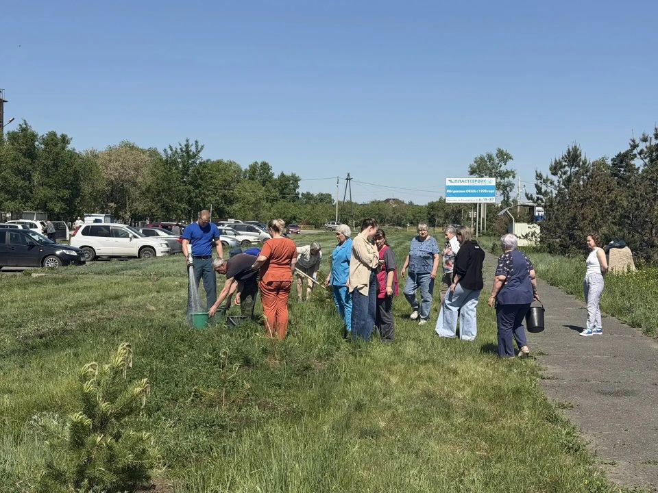 Зеленый уголок здоровья в Черногорске Зеленый уголок здоровья в Черногорске