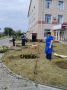 Цветы высадили на территории Белоярской ЦРБ в Алтайском районе
