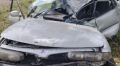 Трасса, дерево, авто: в Хакасии произошло смертельное ДТП