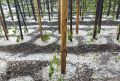 Было страшно: мощный ливень и крупный град ударили по Абакану