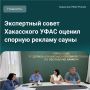 Одна из саун города разместила около входа свои контакты и изображение девушки, тело которой прикрывают листья и банный веник