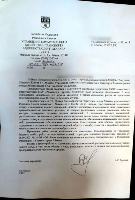 Разрушающихся тополей опасаются жители Маршала Жукова, 12 в Абакане Разрушающихся тополей опасаются жители Маршала Жукова, 12 в Абакане
