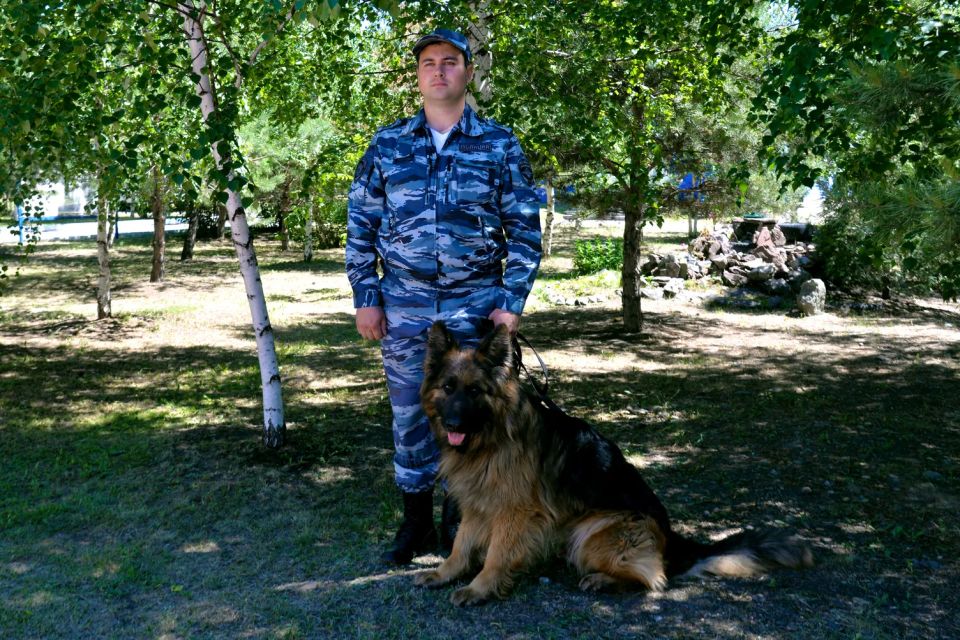 Министр внутренних дел по Республике Хакасия поздравил сотрудников Центра кинологической службы с профессиональным праздником Министр внутренних дел по Республике Хакасия поздравил сотрудников Центра кинологической службы с профессиональным праздником