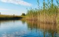 22 из 24 отобранных проб воды не соответствуют санитарным нормам.