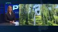 В минувшие выходные на горнолыжном комплексе "Черемуховый лог" произошло ЧП