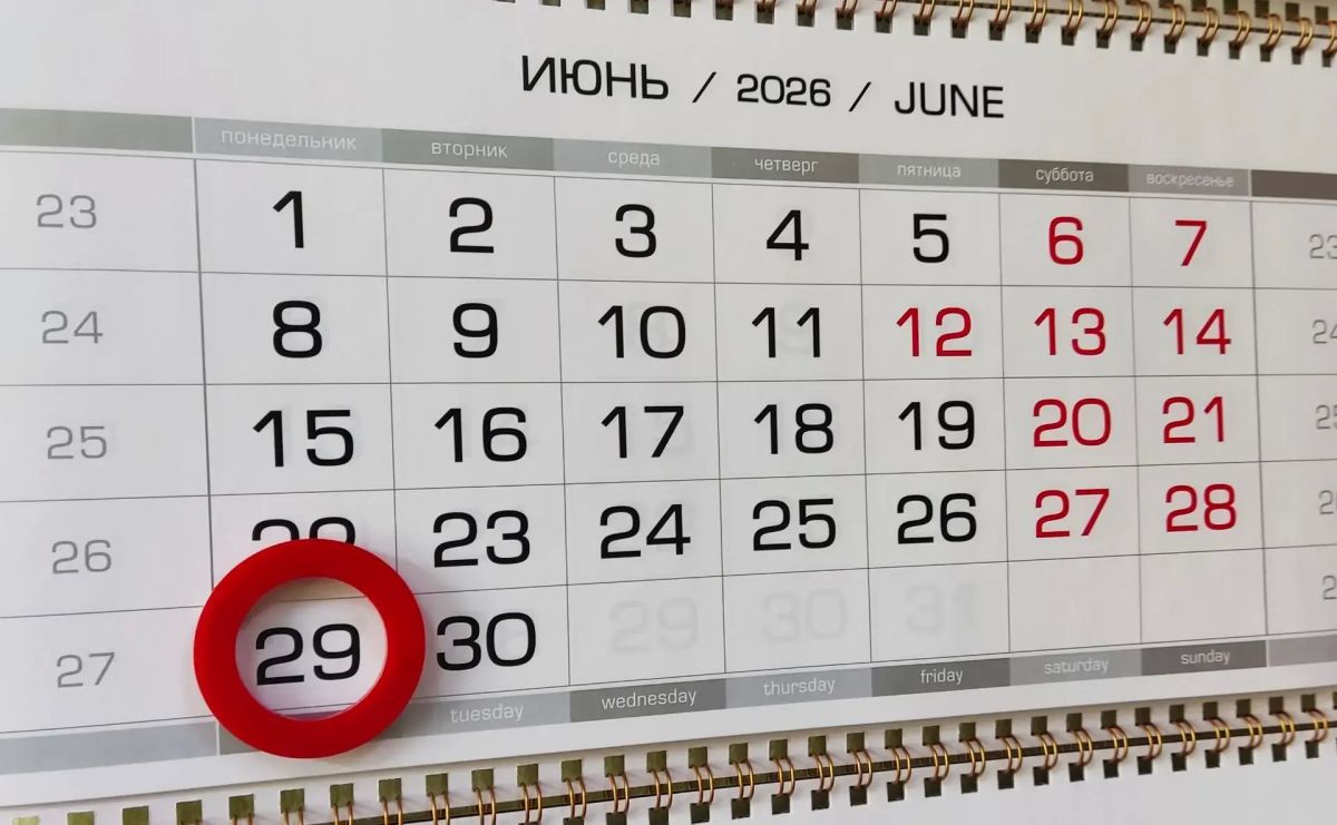 Сроки уплаты единого налогового платежа во второй половине июня