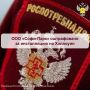ООО «Софи-Парк» оштрафовано за инсталляцию на Хэллоуин